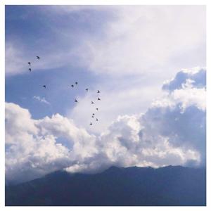 午夜宅男免费在线视频
