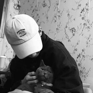 午夜宅男免费在线视频
